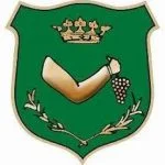 Tűzzsonglőr Mályi